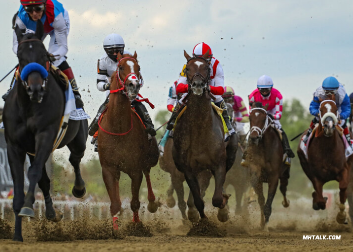 La Filière Turf: Navigating the Pathway to Horse Racing Expertise and Success