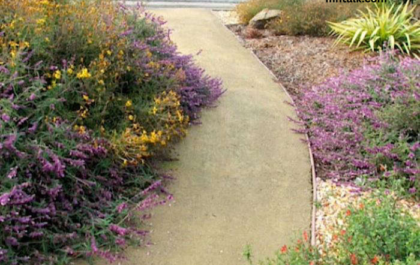 Beyond Concrete: Sustainable Hardscaping Solutions for Eco-Friendly Landscapes